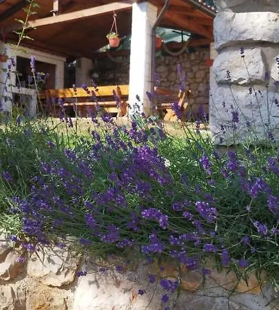 Appartement Ana Dramalj