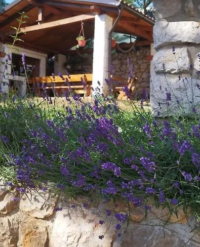 Διαμέρισμα Ana Dramalj